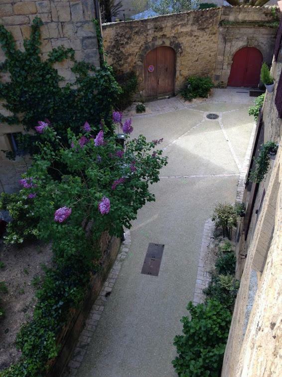 La Bonbonniere Apartment Sarlat-la-Caneda Bagian luar foto